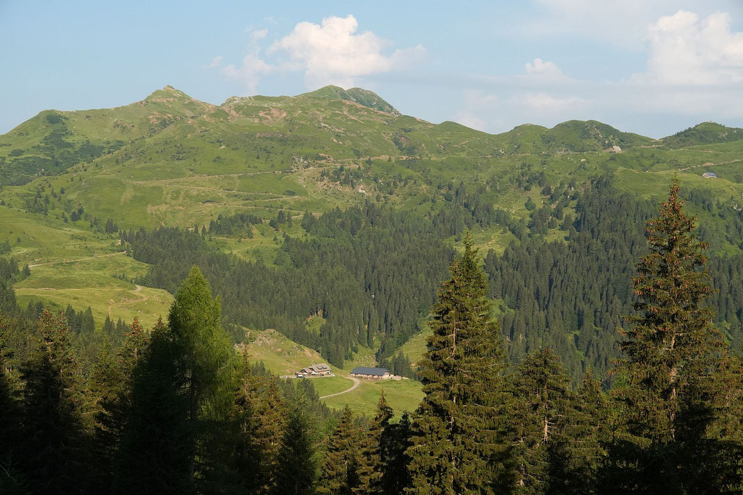 Blick zurück zur Straniger Alm und hinauf zum Findenigkofel