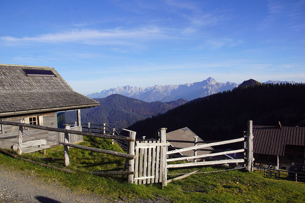Feistritzer Alm mit den Julischen Alpen
