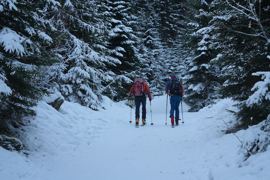 Am Pilgerweg geht es gemütlich höher