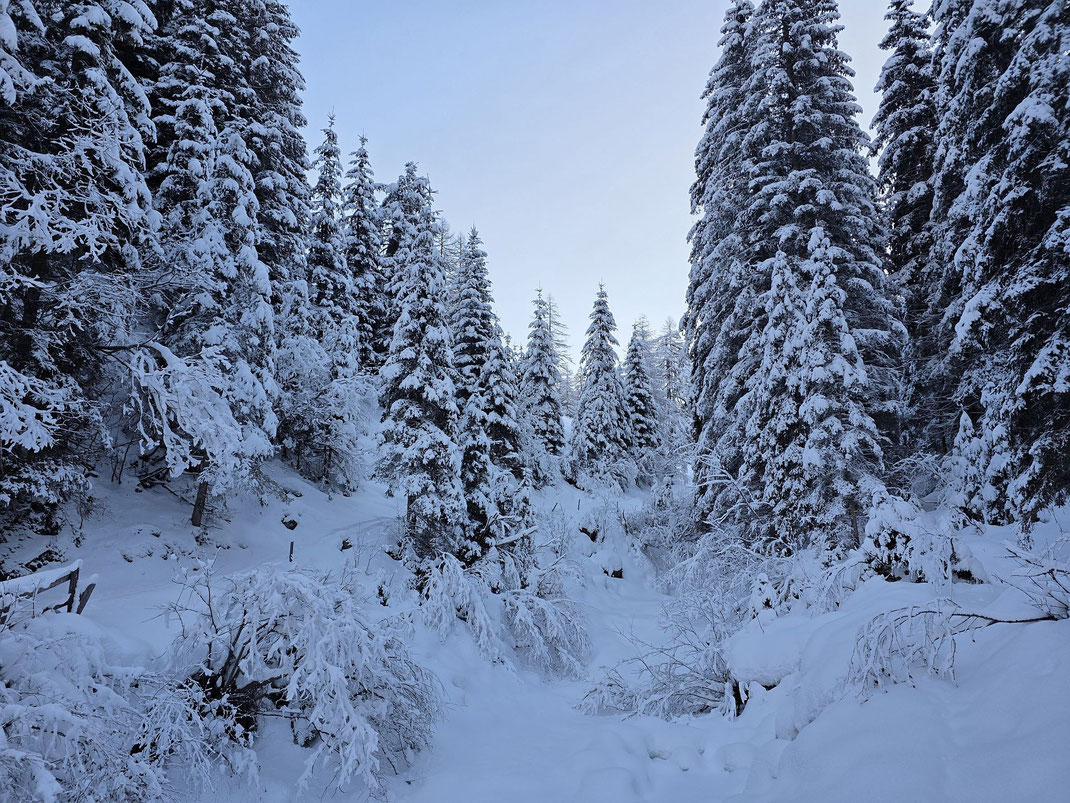 Tiefster Winter am tiefsten Punkt im Gusengraben (1500m)