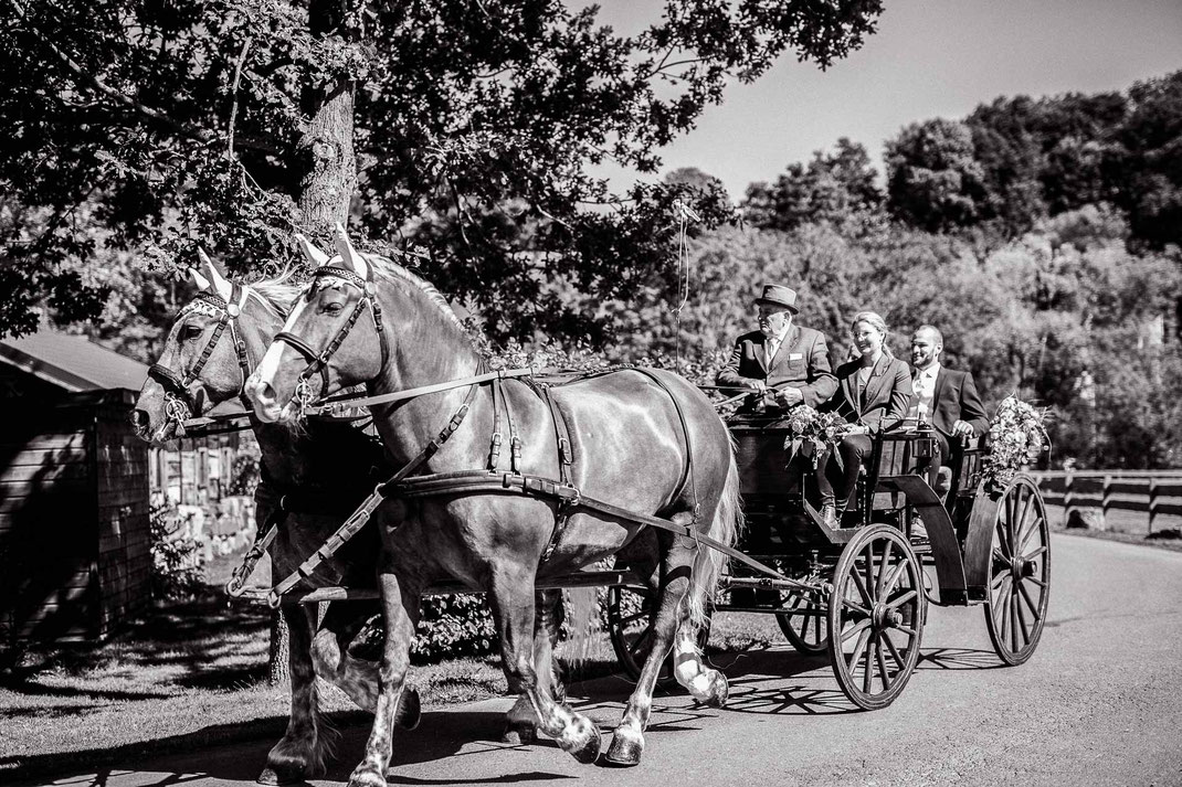 Hochzeitsfotograf Giessen