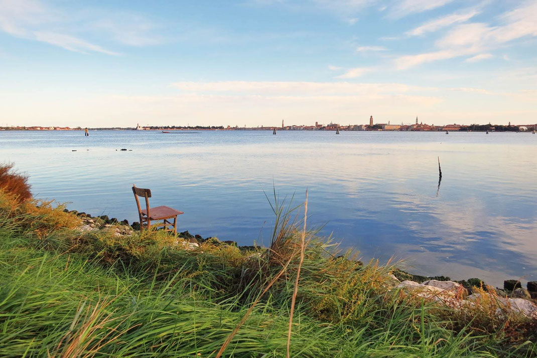 Campalto island Venice Lagoon