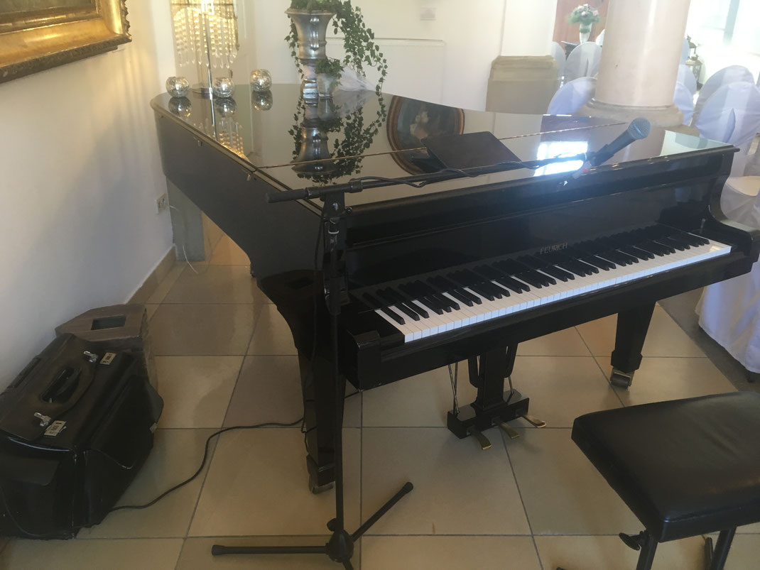 Pianist und DJ aus 79868 Feldberg (Schwarzwald) , Todtnau, Lenzkirch, Hinterzarten, Titisee-Neustadt, Breitnau, Bernau im Schwarzwald, Bonndorf im Schwarzwald