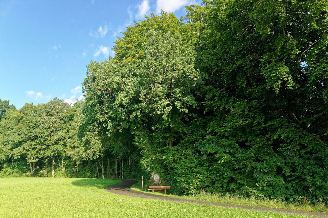 Tausendjährige Frau Oach bei Irschenberg