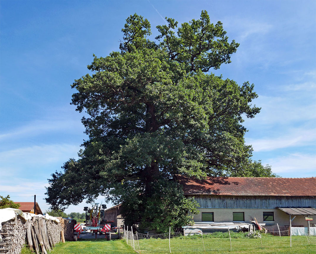 Kerudeleiche bei Gramsam