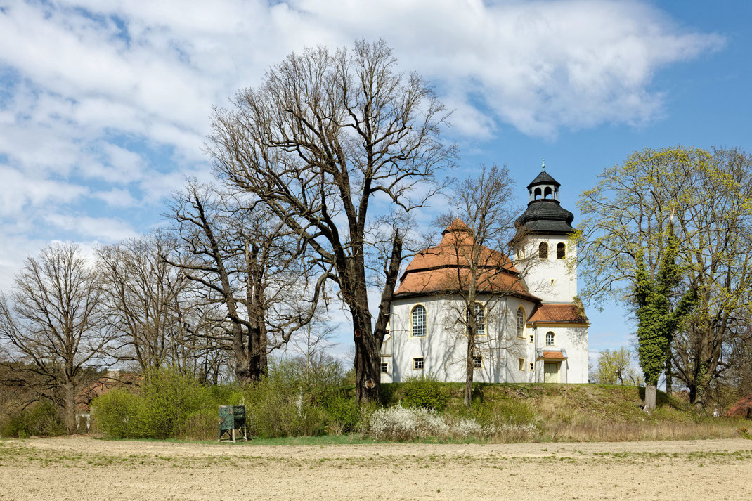 Eiche in Podrosche