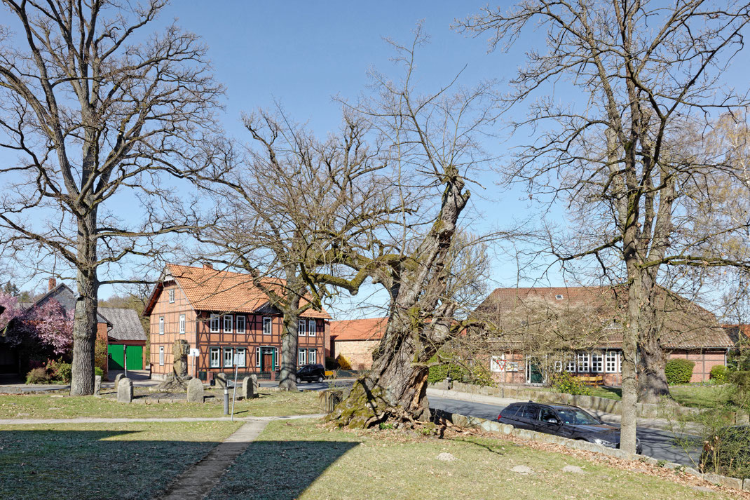 Linde in Jembke