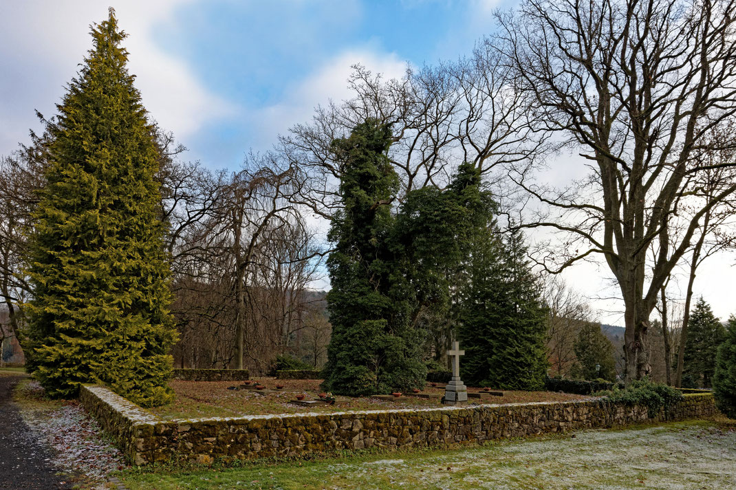 Eiche in der Erbbegräbnisstätte bei Hausen