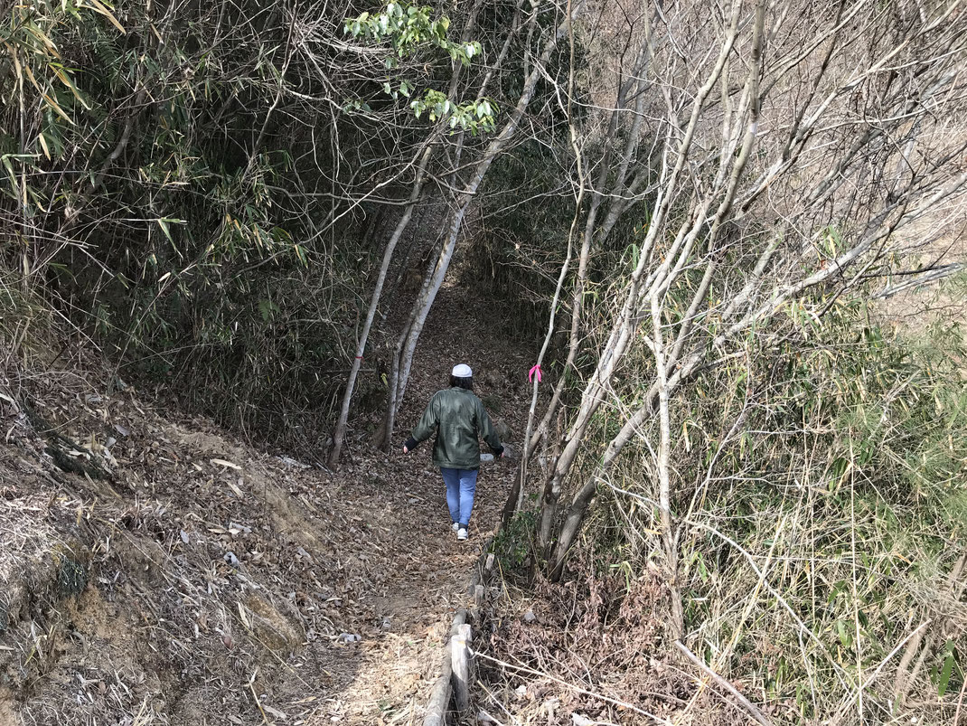 春日野側伴峠登山道