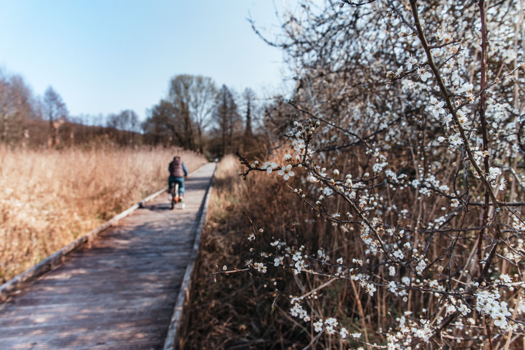 photographe lifestyle Rouen