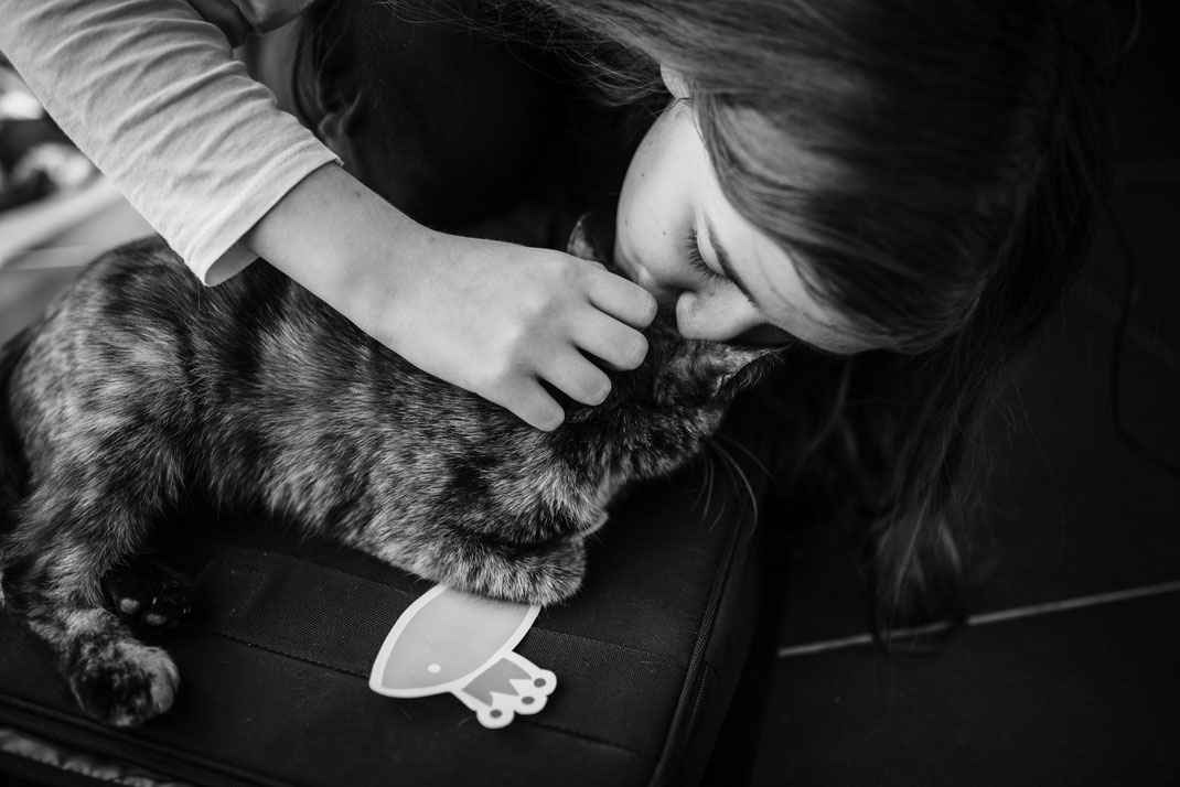 bisous chat
