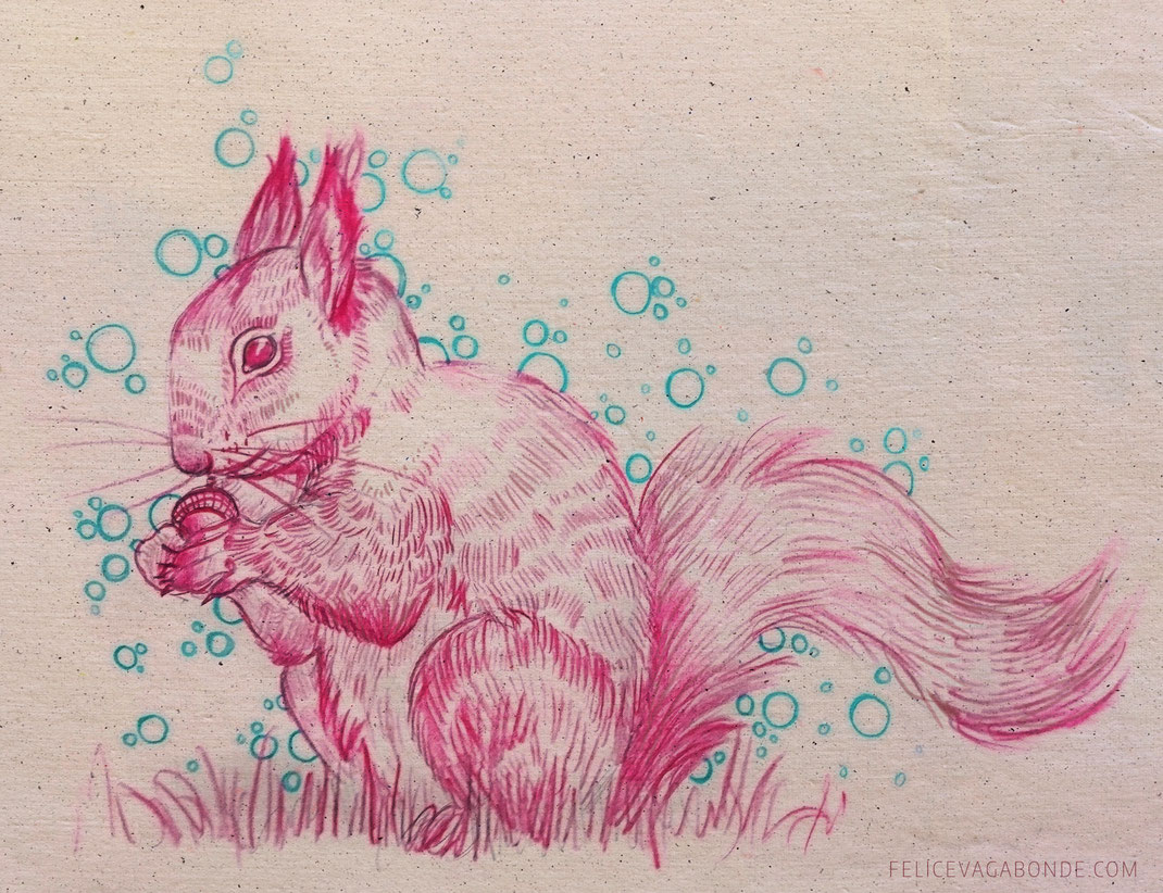 Illustration: Eichhörnchen, Illustration aus Hamburg, Felice Vagabonde 2015