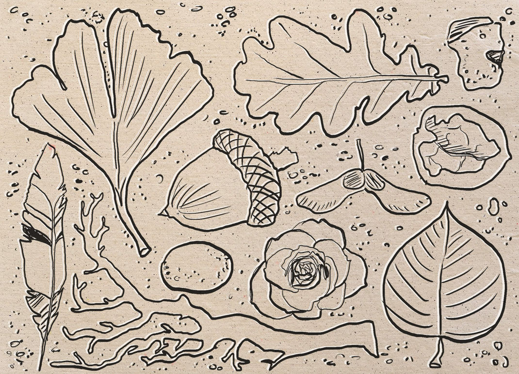 Illustration "Motte", Felice Vagabonde, Illustratorin aus Hamburg