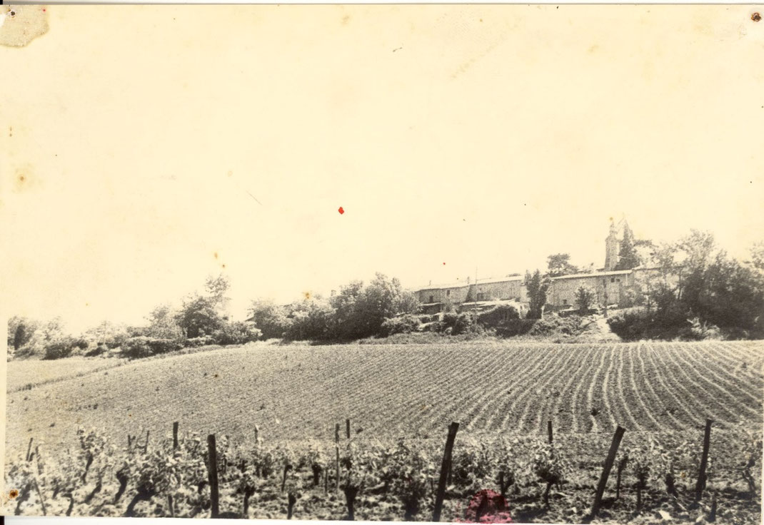 La vigne derrière le village