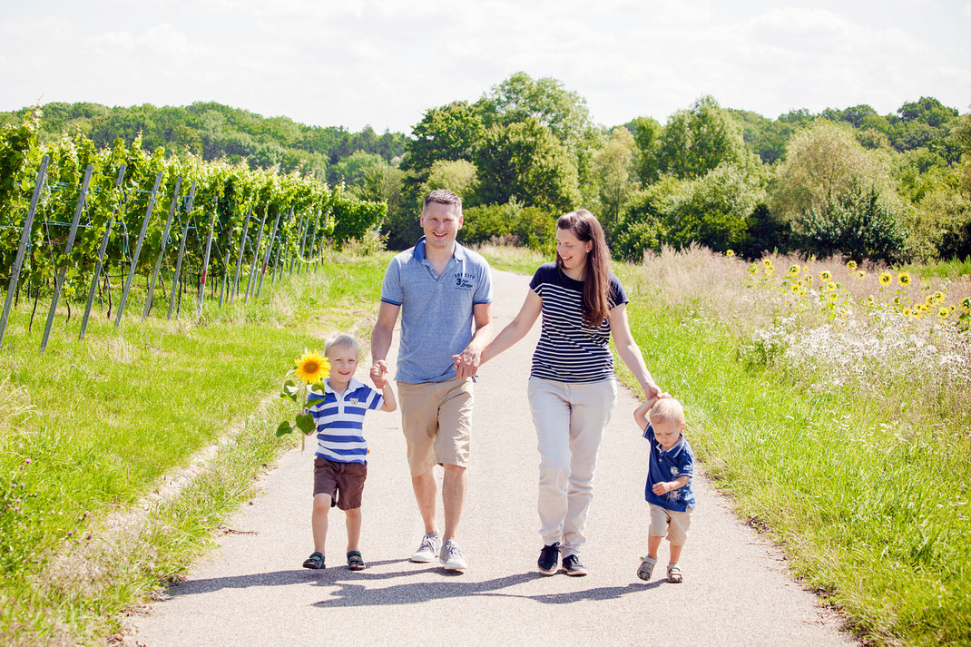 Familienshooting Brackenheim Neipperg Weinberge Sonnenblumen Outfit blau beige