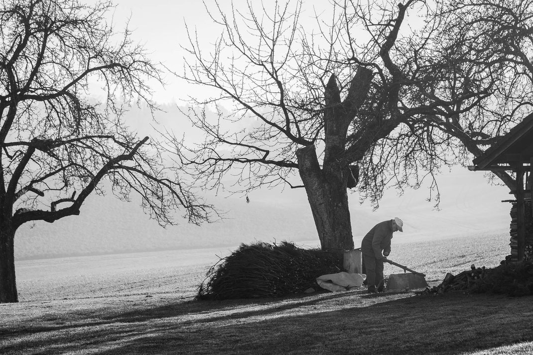 Conny - Foto 9 - Der alte Mann und der Nebel