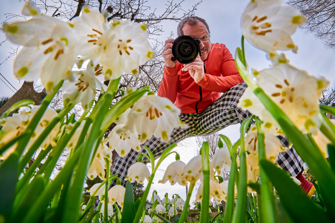 Karl K. - Foto 10 - Frühlingserwachen aus der Sicht einer Blume