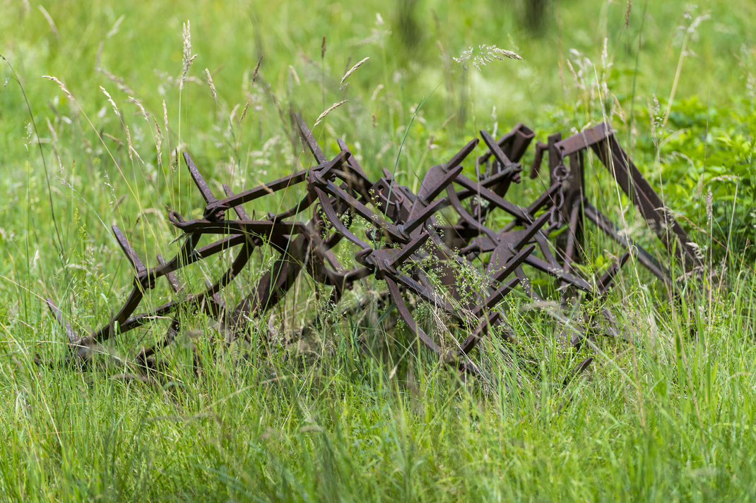 Gerald - Foto 10 - Wer rastet der rostet (2)