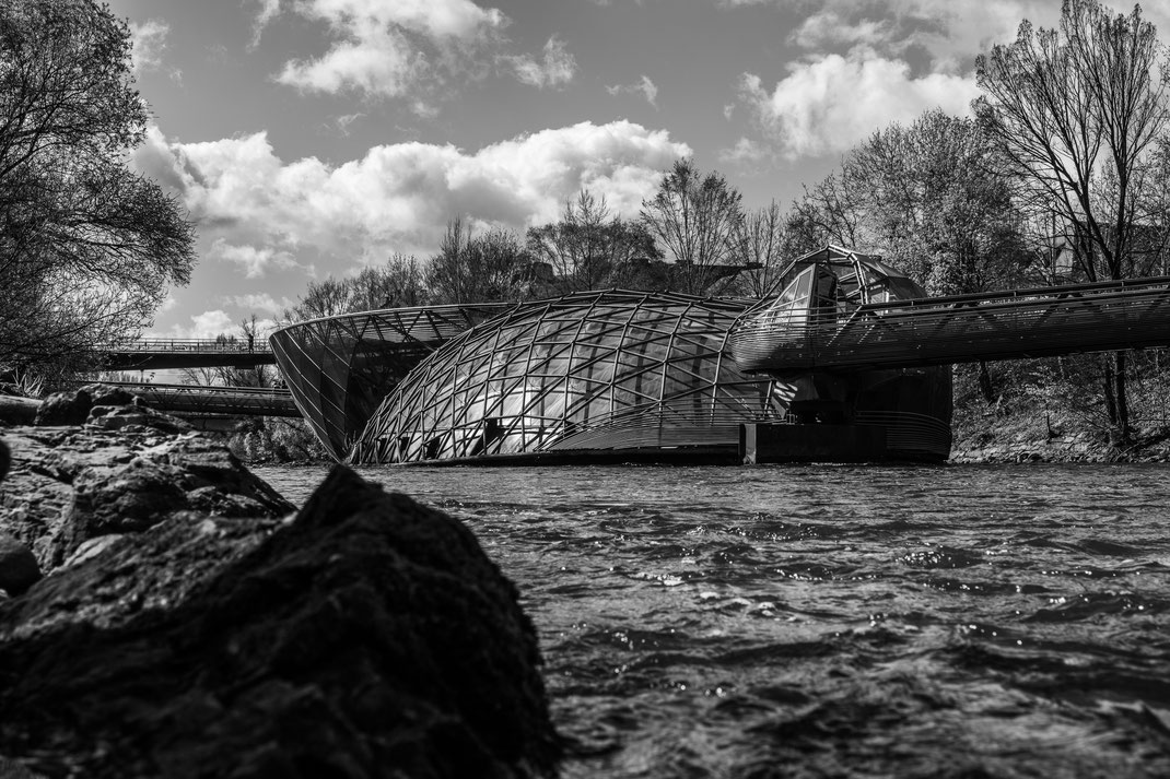 Norbert - Foto 8 - Acconci-Insel