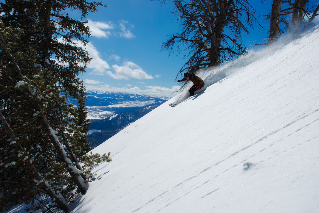 Skier skiing down steep mountain with trees