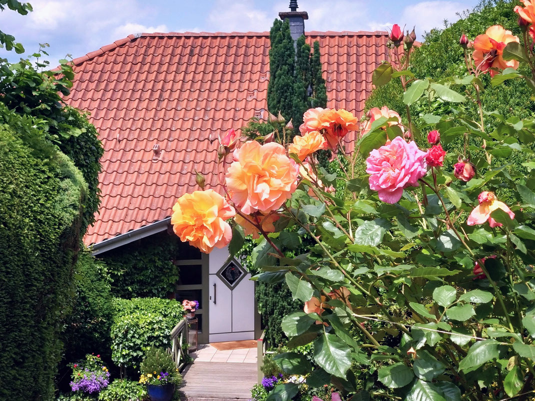 Haus planen und bauen