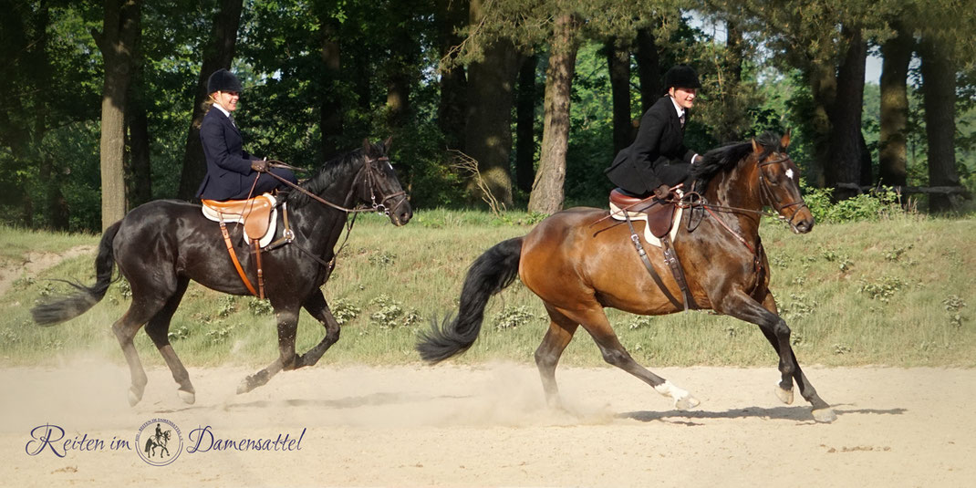 RID Reiten im Damensattel, Dr. Bettina Grahner, Claudia Strommenger, 90. Geburtstag RuFV Dilkrath, Jagdreiten im Damensattel