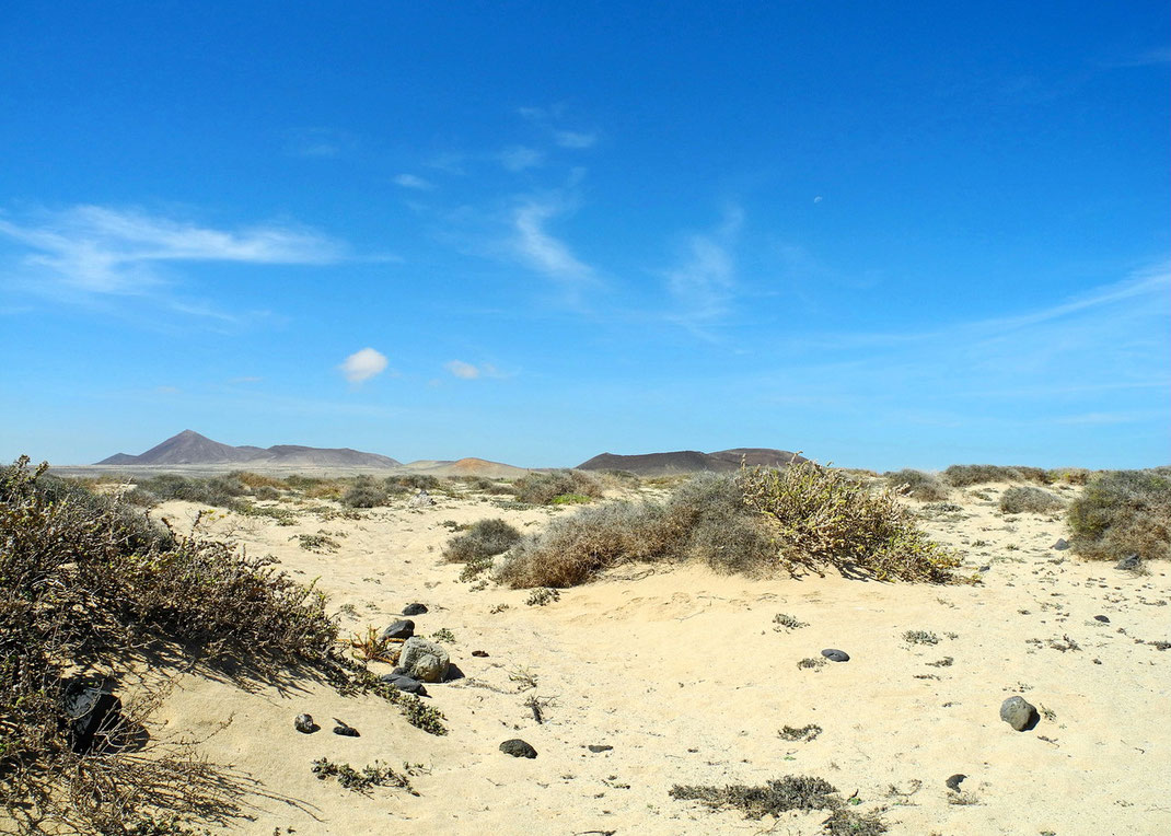 7.10. - Norden - Caletta de Famara