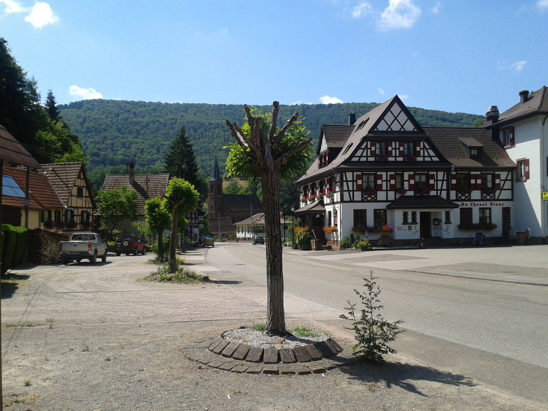 La Région Frontalière Vosges Du Nord Pfälzerwald -