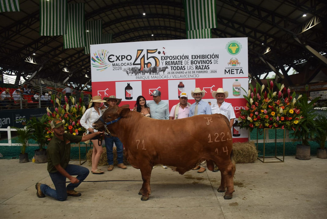 Campeón Adulto Reservado: Providencia Konor TE 1221-14