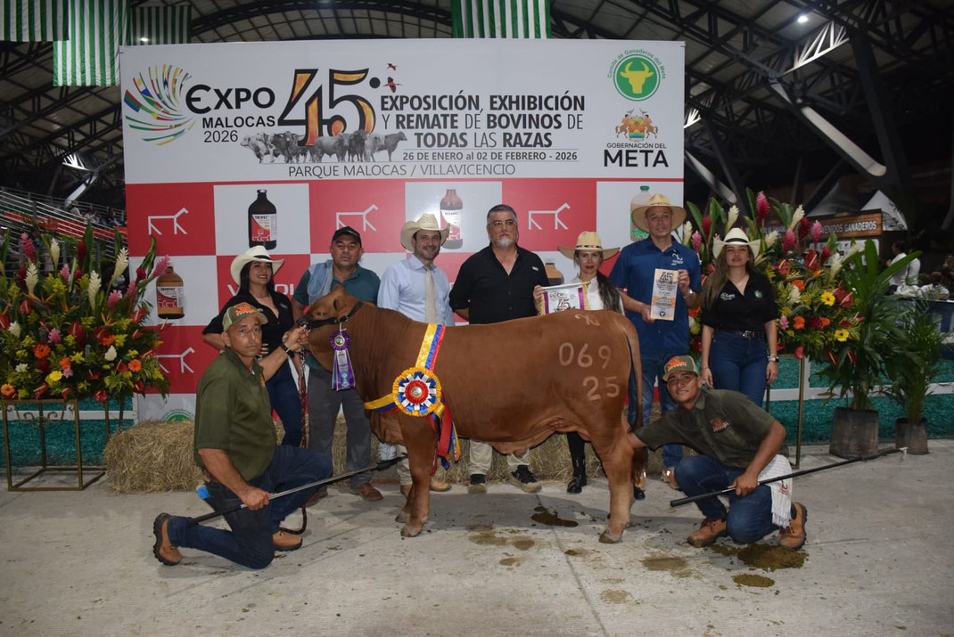 Gran Campeón Reservado: Agroamericas 069-25 