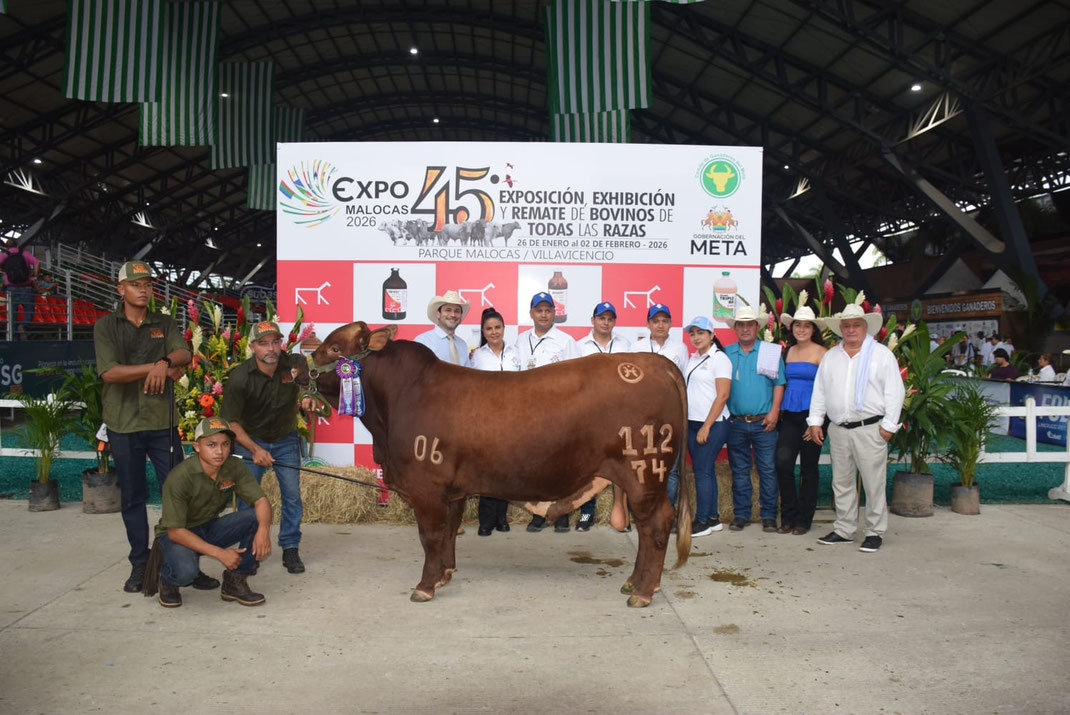 Campeón Joven Reservado: La Cumbre 112-74 
