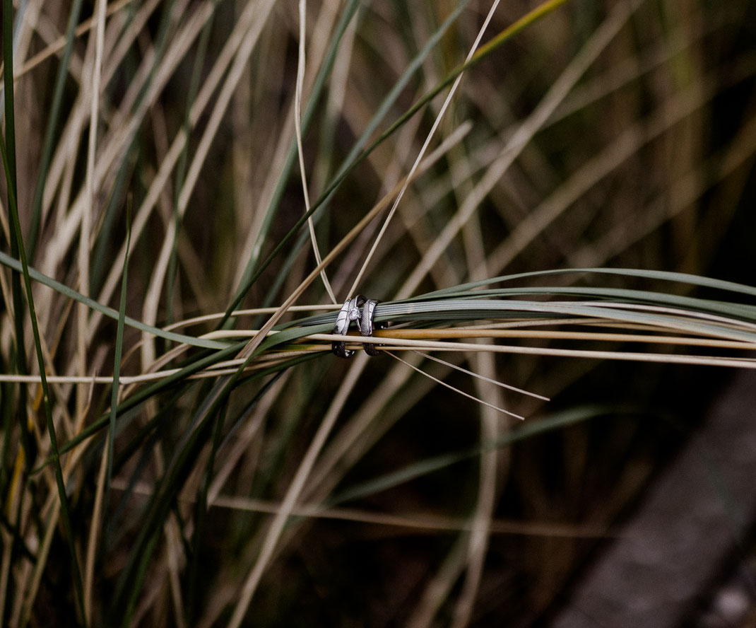 Hochzeit oldenburg, Hochzeit nordsee, Hochzeit ostsee, inselhochzeit, hochzeit stuhr, hochzeit fehmarn, strandhochzeit, hochzeitsfotograf bremen, heiraten bremen, hochzeit 2026, hochzeitstrend, Heiligenhafen, nordenholzerhof, gut wahnbek, gut horn