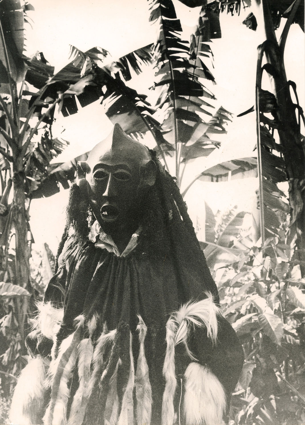 Kun'gan Mask, Bamileke, Cameroon, Field Photo with full mask robe under palm trees.