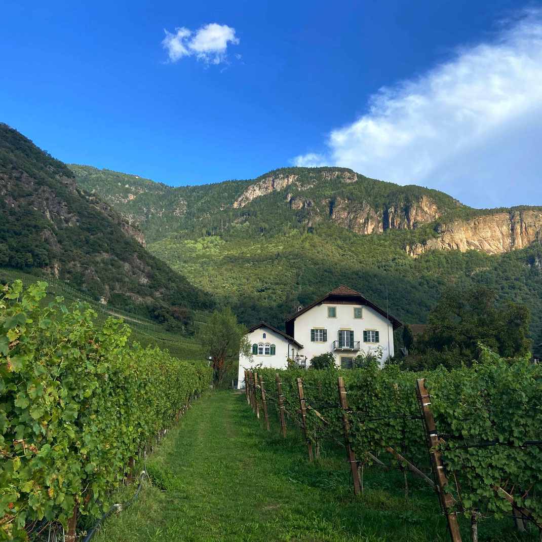 der Karcher Hof liegt inmitten der Weinberge