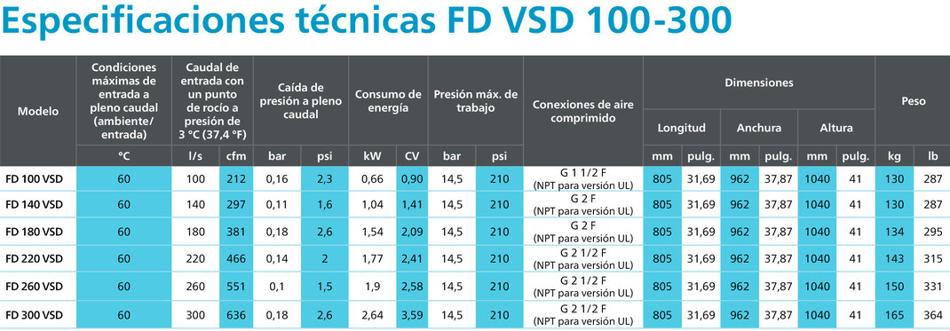 Especificaciones técnicas FD VSD 100-300