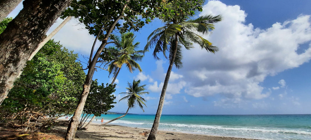 Heiraten in der Karibik