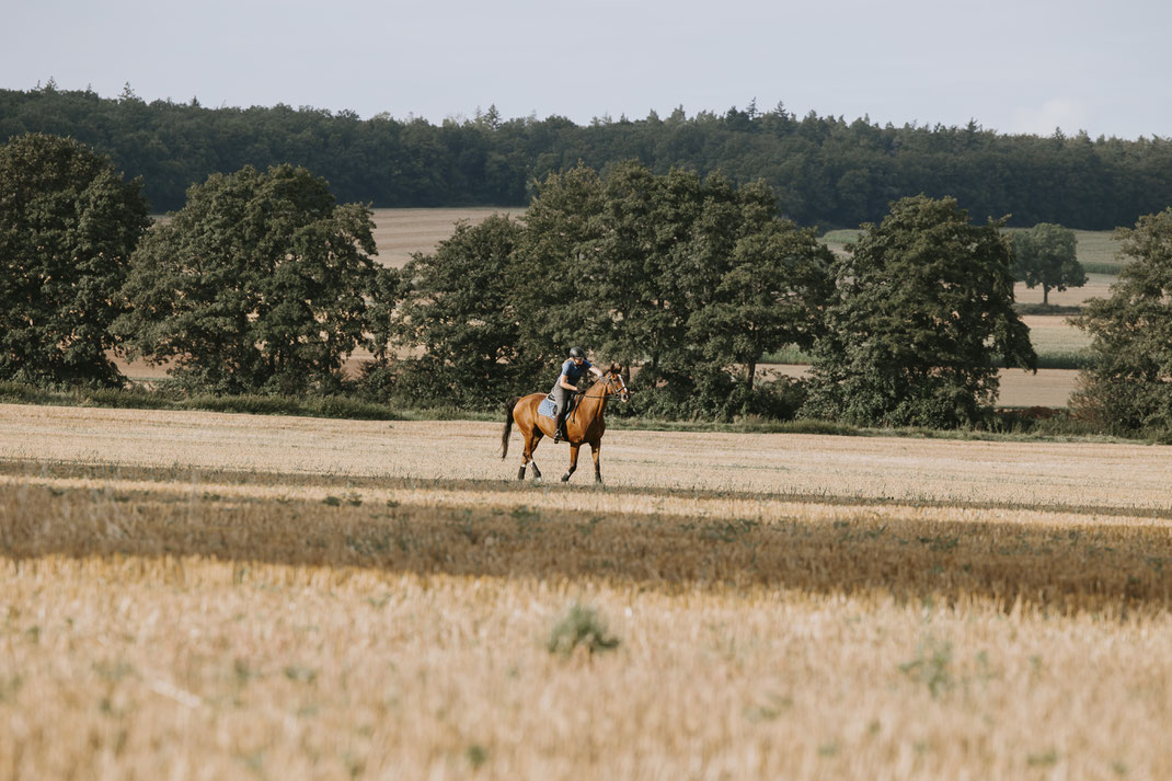 Frau reitet auf braunem Pferd auf Stopplefeld und tätschelt es liebevoll, seitliche Ansicht