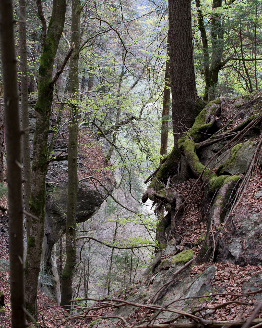 Schwarzwassergraben Hinterfuligen