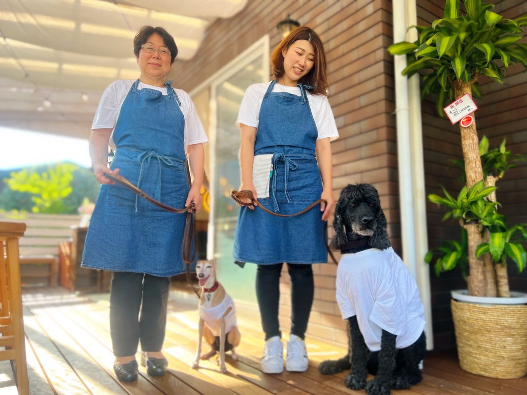 千葉市　ドッグカフェ　ドッグバー　犬連れ