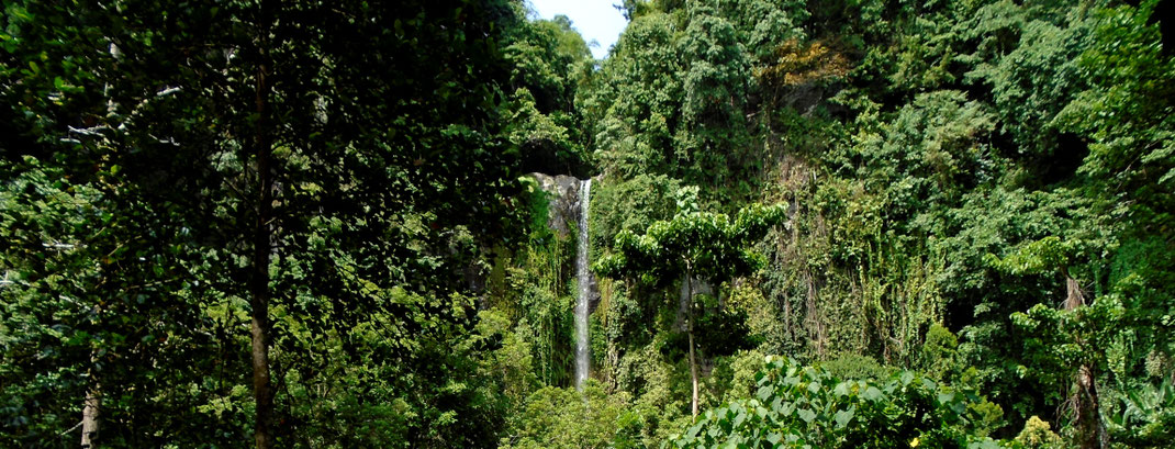 Nypa Style Resort, Camiguin, Filippine, Katibawasan falls, cascate, vacanze nelle Filippine