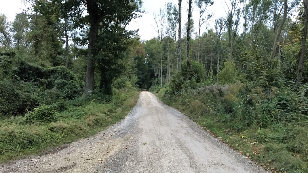 Auf dem Weg nach Leipheim