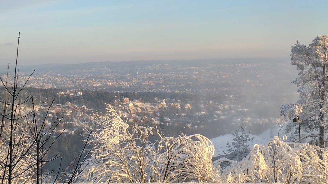 Blick über Oslo