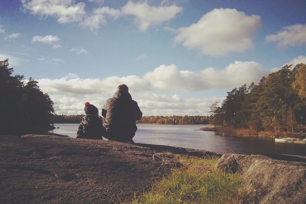 parc bigousteppes lac suède forêt automne