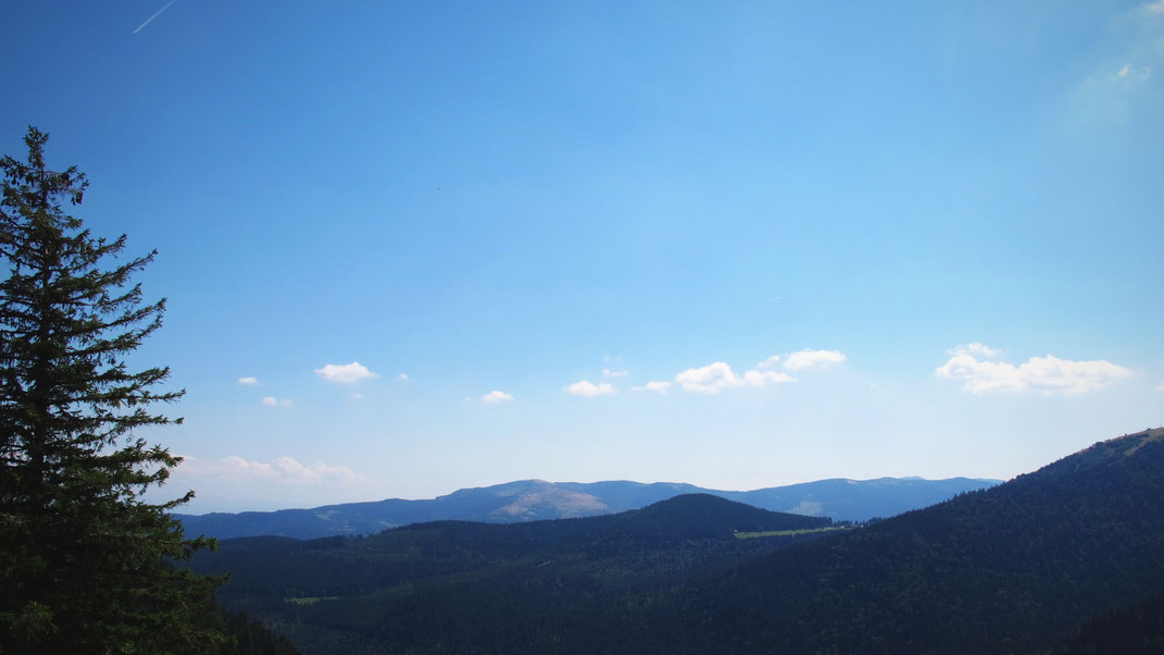 foret alsace vosges lac montagne route