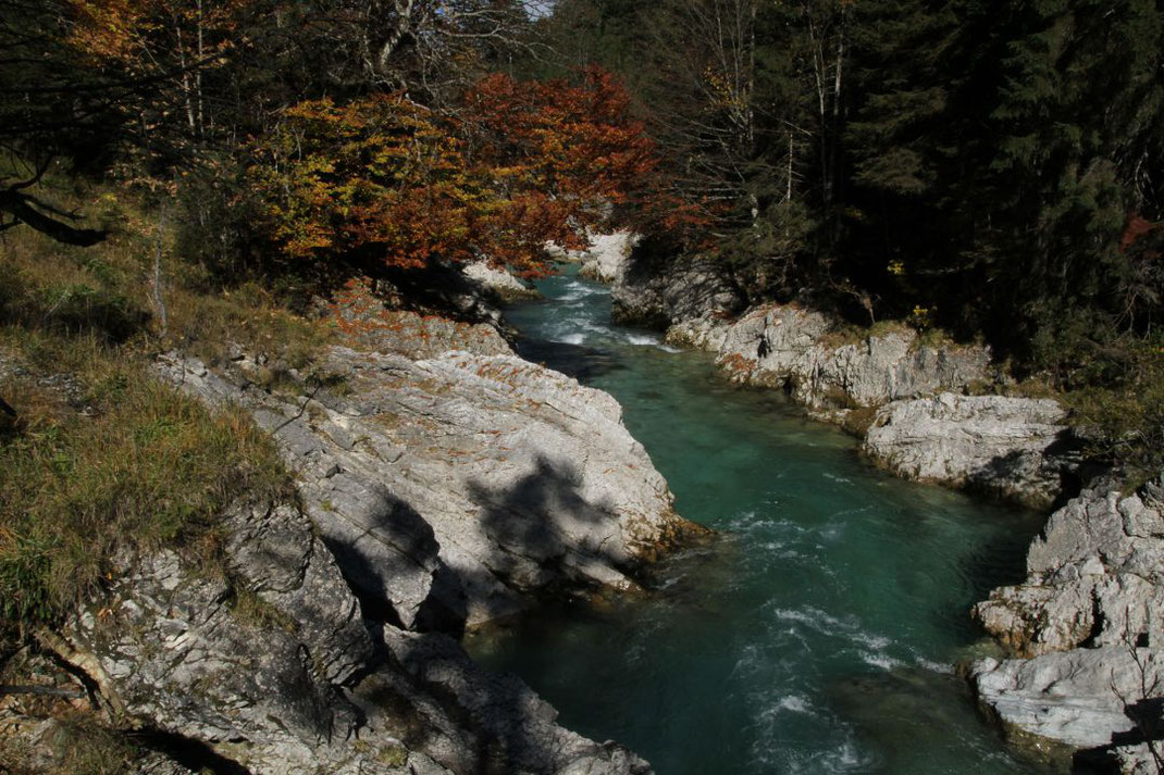 Bayerns Natur ist wunderschön und einzigartig. Der LBV schützt Lebensräume für viele Tier- und Pflanzenarten