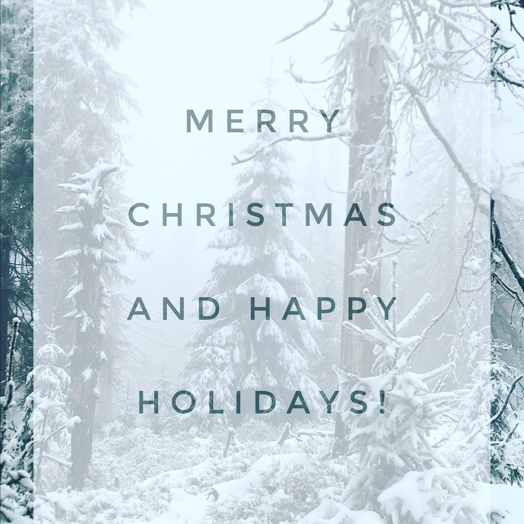 Merry Christmas, happy holidays, fröhliche Weihnachten, Weihnachten, Christmas greetings, winter wonderland, winter, snow, pine, forest, Wald, Schnee, Winterwunderland, Feiertage, Weihnachtsgrüße, season's greetings