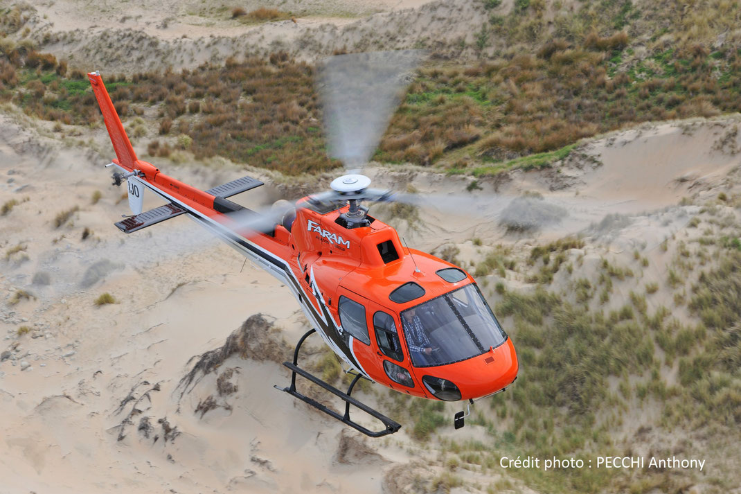 Hélicoptère Ecureuil H125 (anciennement Eurocopter AS350, mono-turbine)