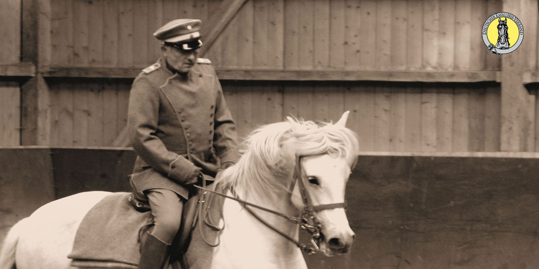 DKV Dressurlehrgang Wallenhausen