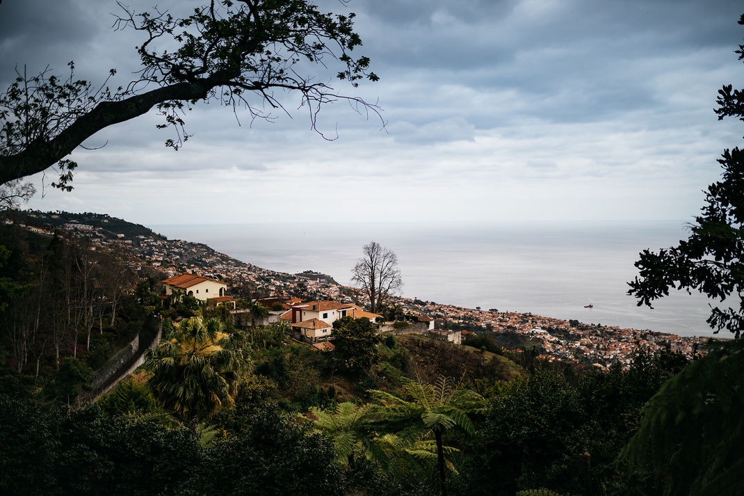 Madeira Funchal Blick Botanischer Garten