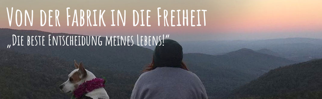 Mobile Living, Digitale Nomaden, Soloreise Frauen